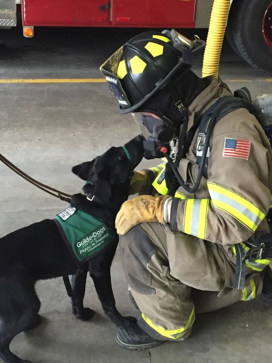 Firefighter with dog