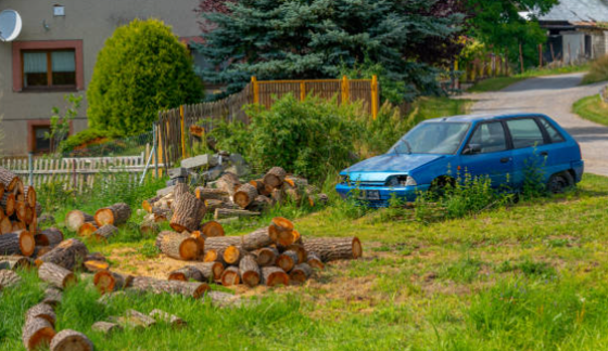 Abandon Vehicle